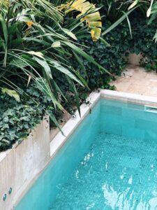 Photo by Nora G on Pexels