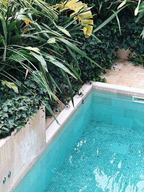 Photo by Nora G on Pexels