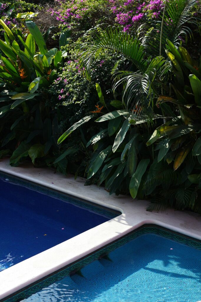 Children playing by a backyard pool surrounded by lush green shrubs and textured stone paving.