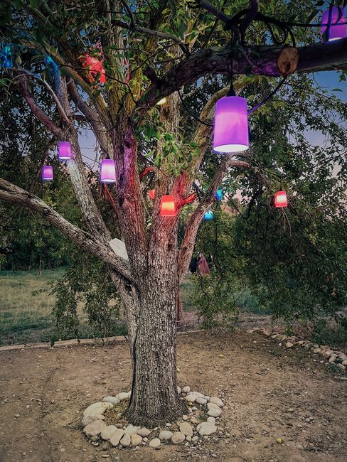 Person installing solar path lights along a backyard garden walkway in the evening.