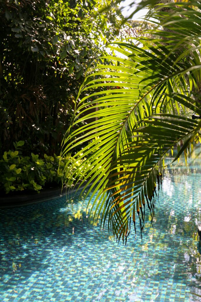 A family enjoying a backyard pool surrounded by plants and landscaped features.